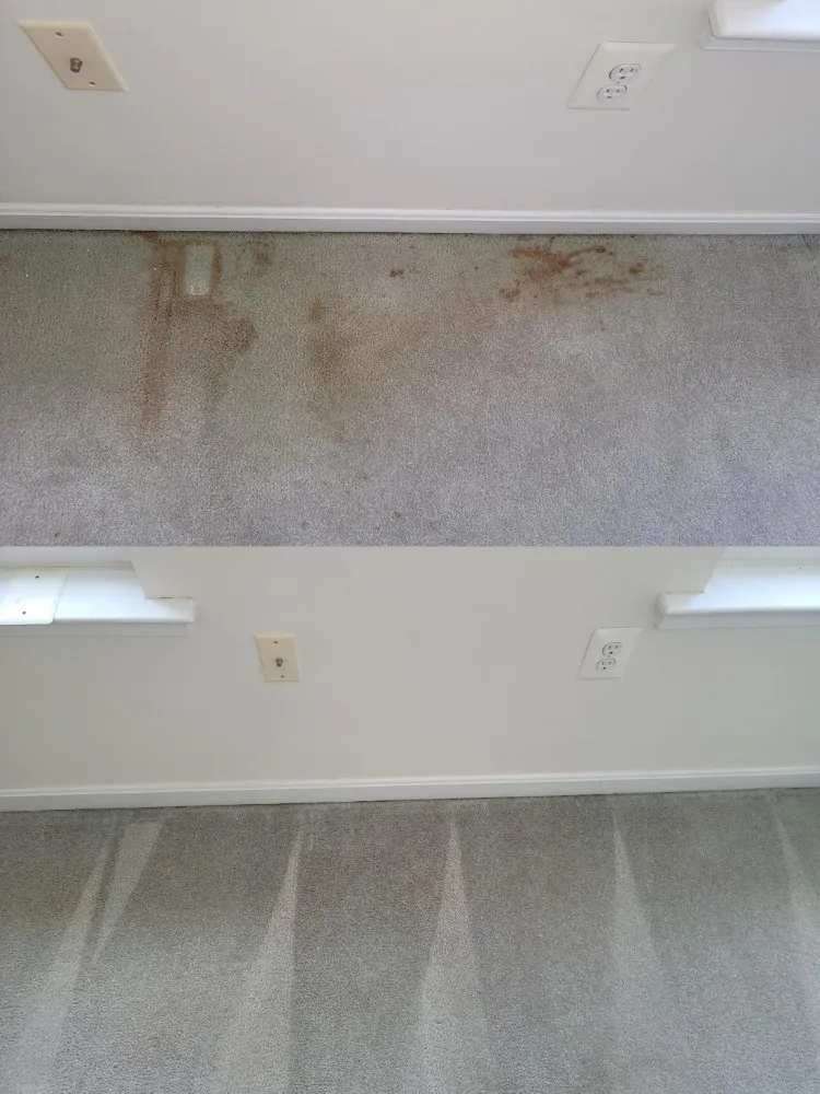 Reliable yard cleanup service in Owings, MD by Trades By The Bay