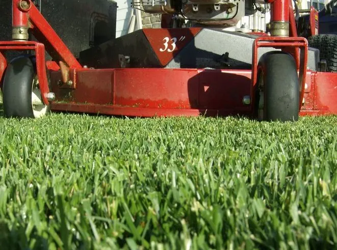 Reliable lawn mowing service experts serving Elgin, TX - Tradesman And Lawn Services