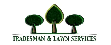 Trusted lawn care service for year-round maintenance across Elgin, TX - Tradesman And Lawn Services