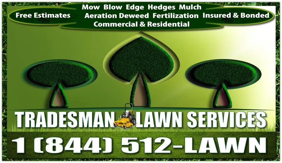 Reliable yard cleanup service in Elgin, TX by Tradesman And Lawn Services