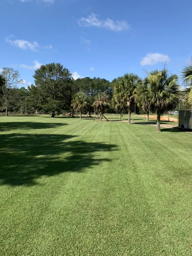 Expert yard cleanup service in Theodore, AL by Tradesman outdoor Services