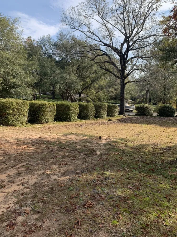 Professional landscaping services in Theodore, AL - Tradesman outdoor Services