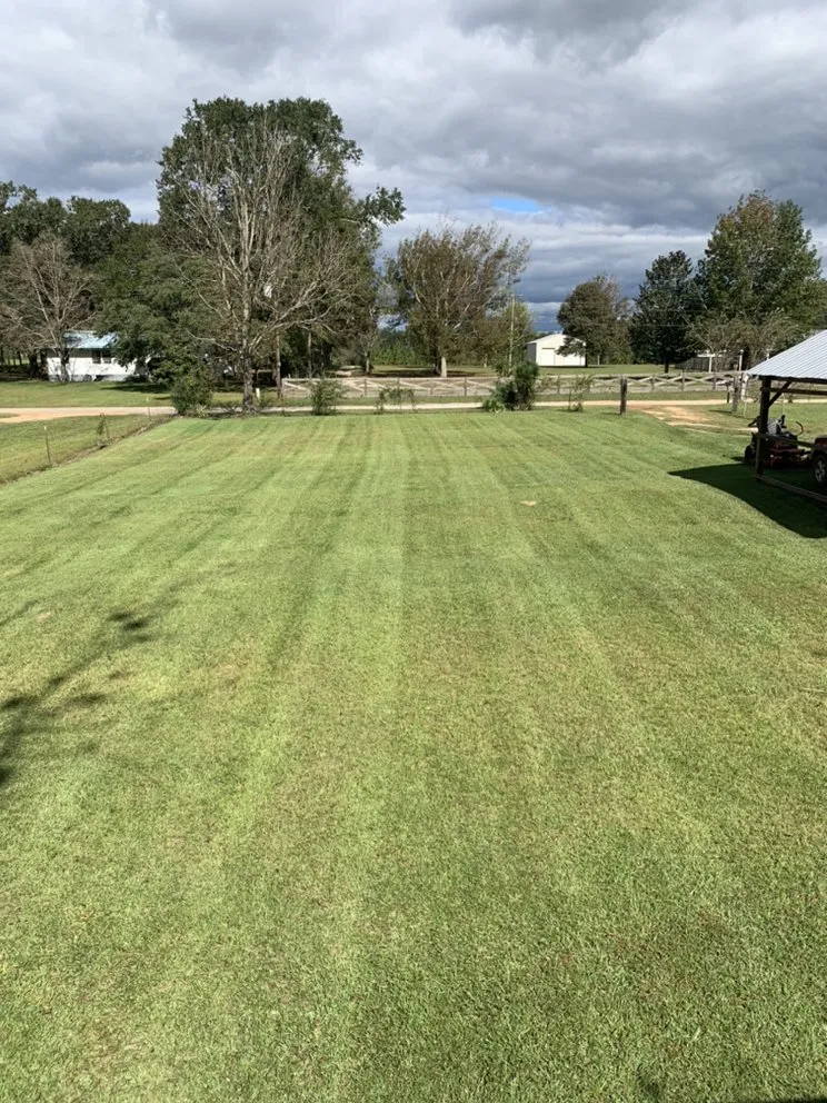 Custom landscaping services with custom design across Theodore, AL - Tradesman outdoor Services