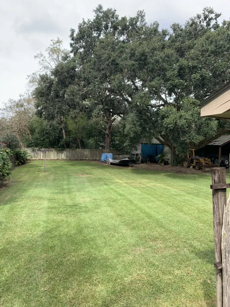 Top-rated outdoor landscaping with custom design in Theodore, AL by Tradesman outdoor Services