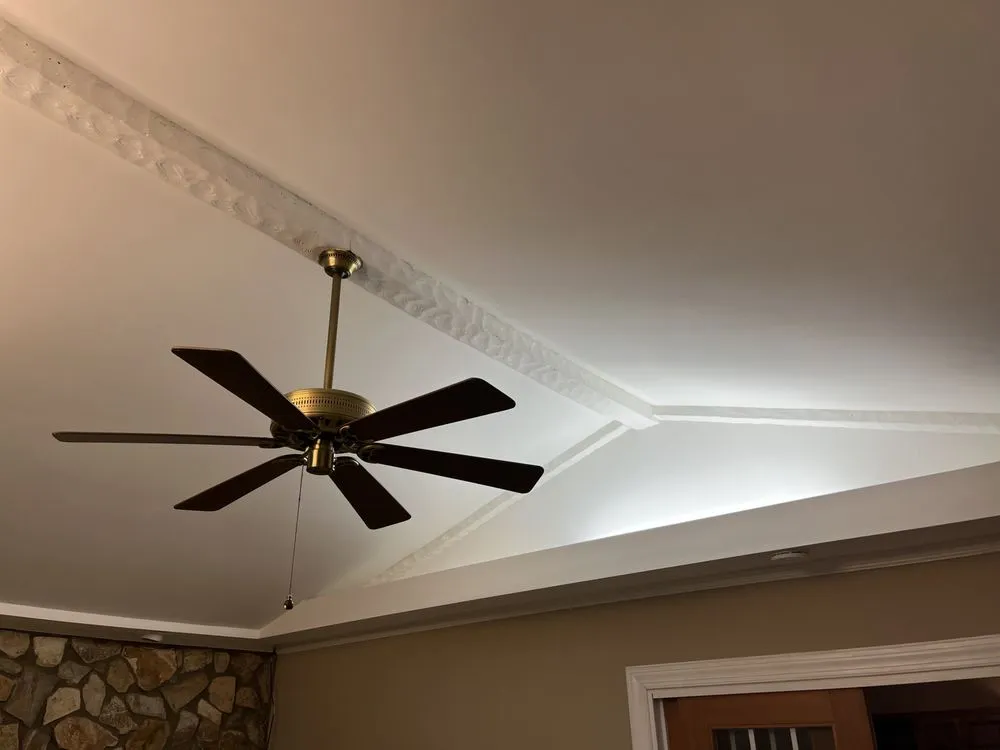 Expert yard cleanup service in Inman, SC by Tradesman Tom