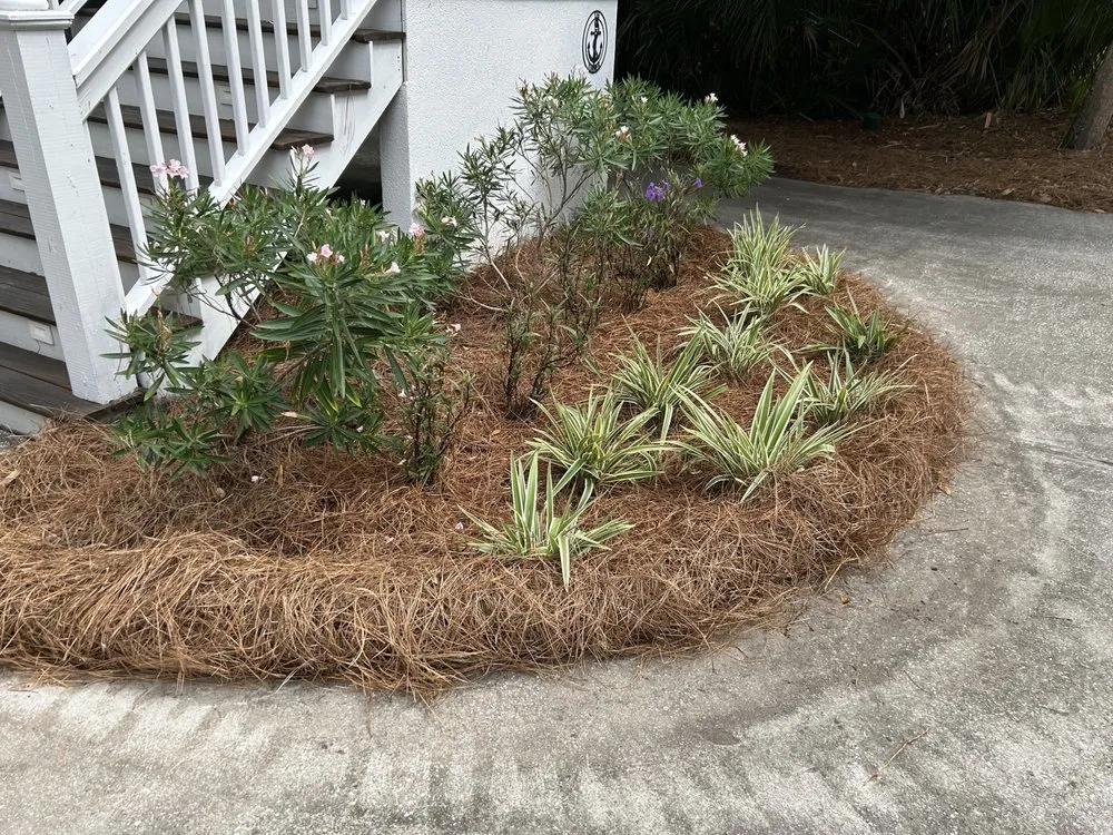 Expert lawn care service for beautiful yards across Saint Helena Island, SC - Tradewinds