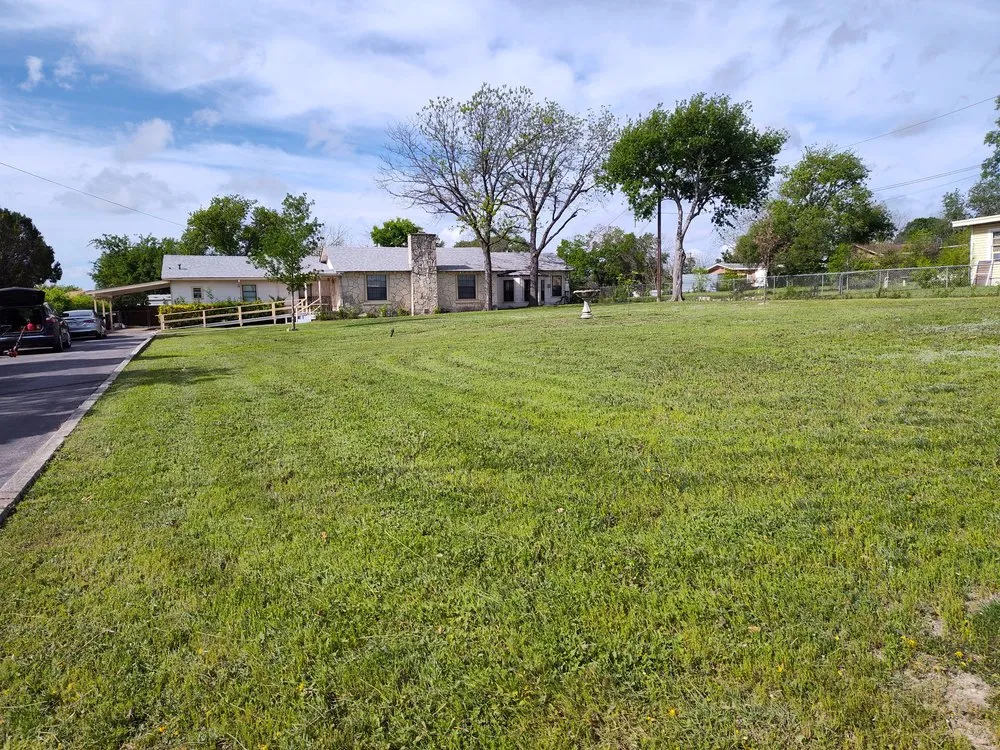 Expert yard maintenance in San Antonio, TX by Tradition Landscaping And Junk Removal