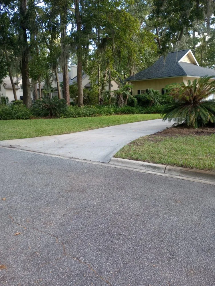 Trusted yard cleanup service in Savannah, GA by Traditional Lawn