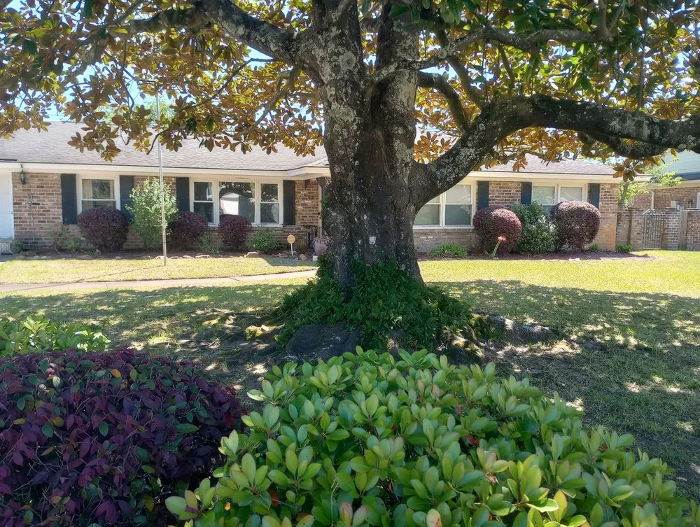 Custom yard maintenance in Savannah, GA by Traditional Lawn