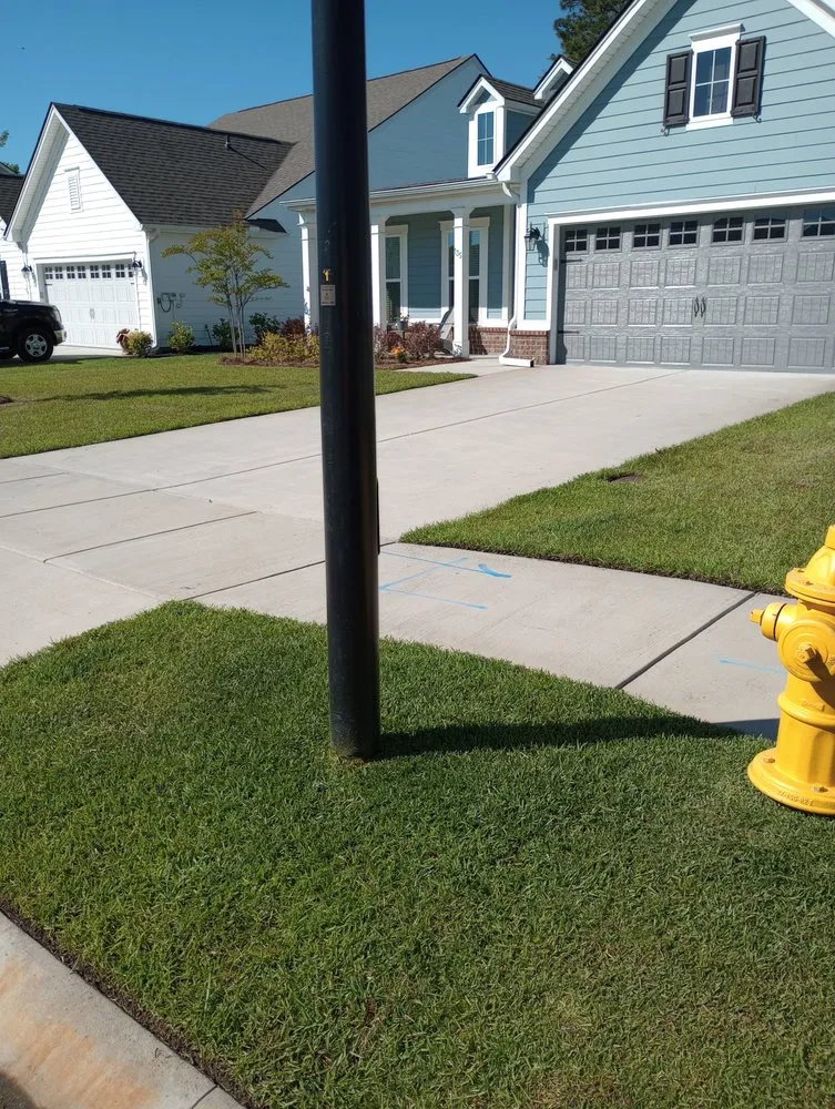 Professional landscaping services in Savannah, GA - Traditional Lawn