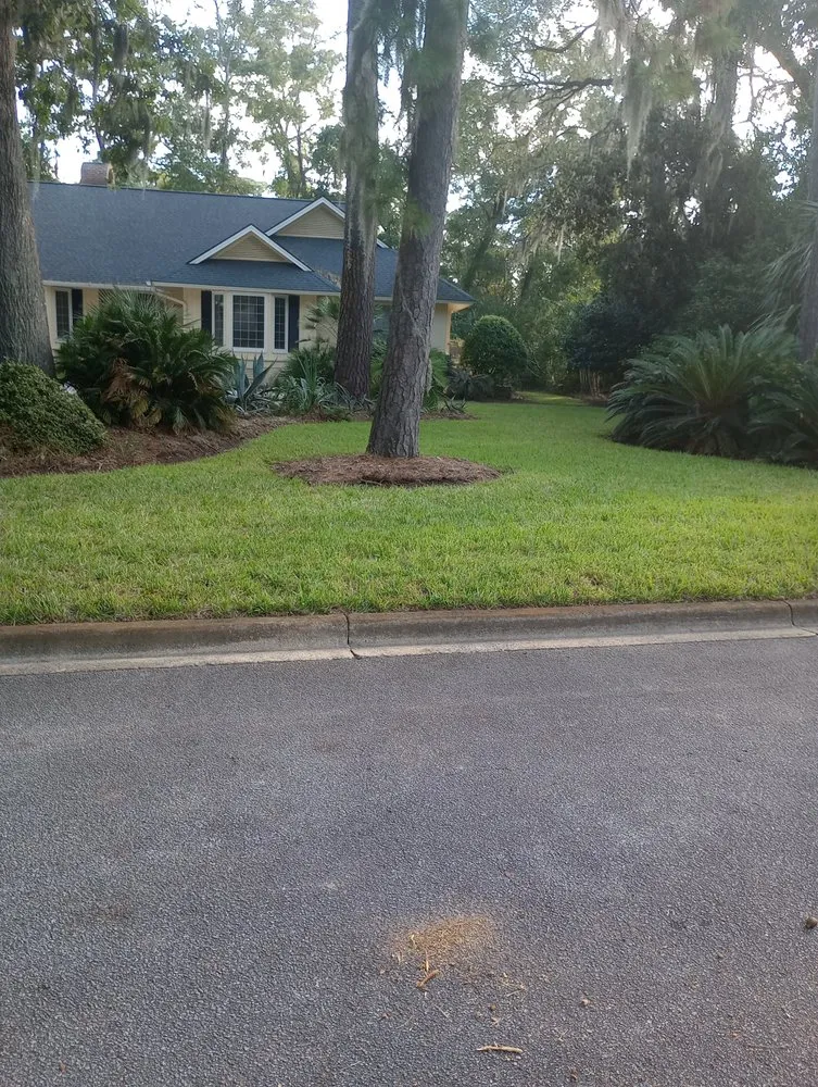 Expert garden landscaping in Savannah, GA by Traditional Lawn
