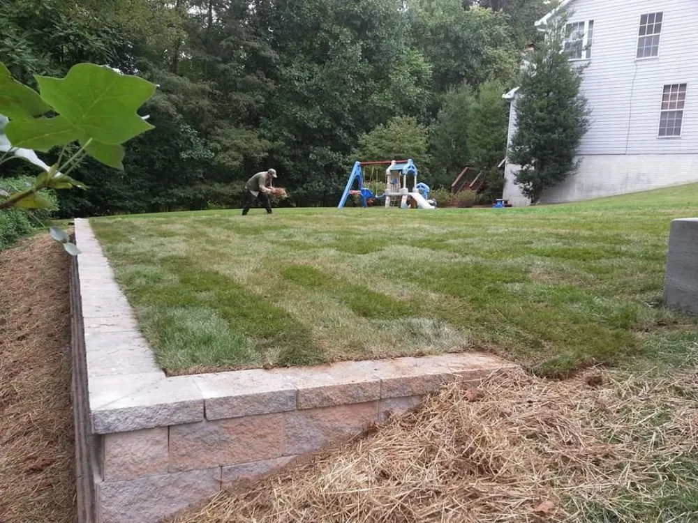 Professional lawn mowing service in Towson, MD - Traditional Services