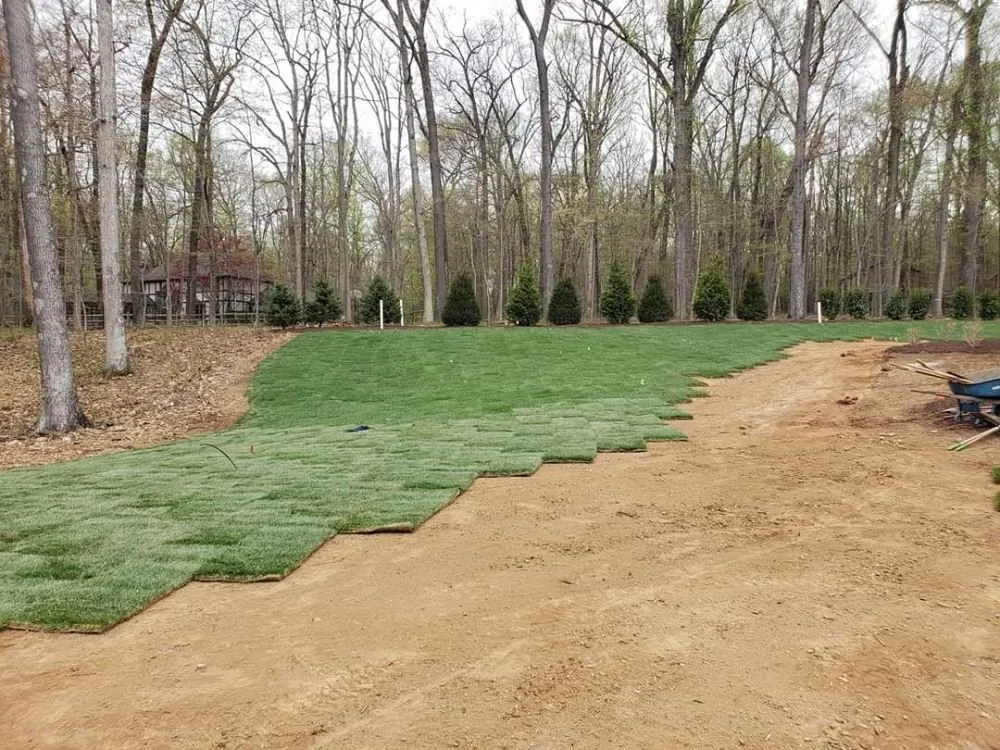 Local lawn care service in Towson, MD - Traditional Services