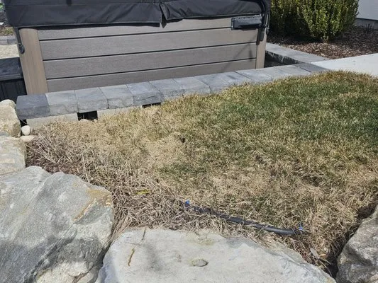 Traditional Sprinklers and Landscaping Logo