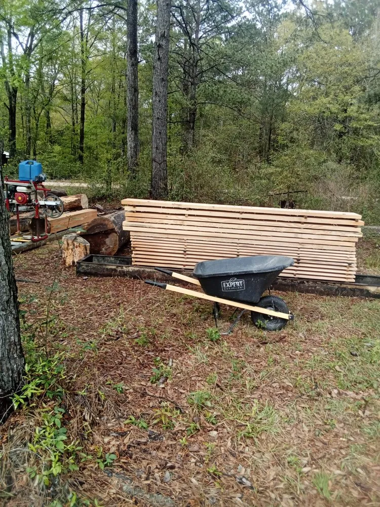 Expert lawn care service in Carriere, MS - Traditional Tree Works