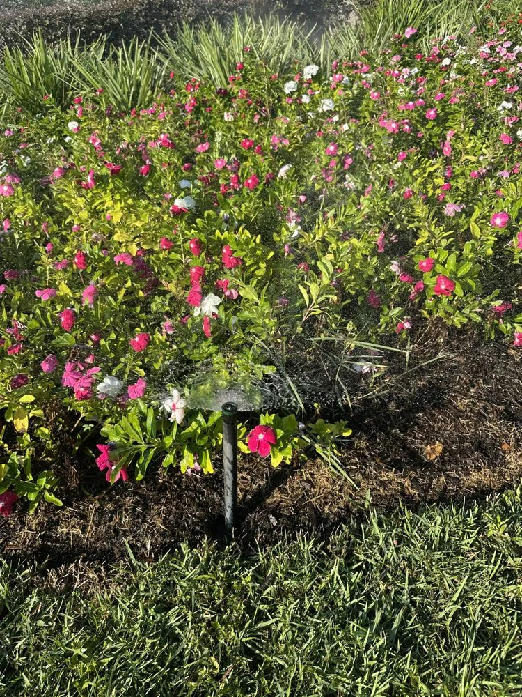 Top-rated landscape installation experts serving Tomball, TX - Traditions Irrigation