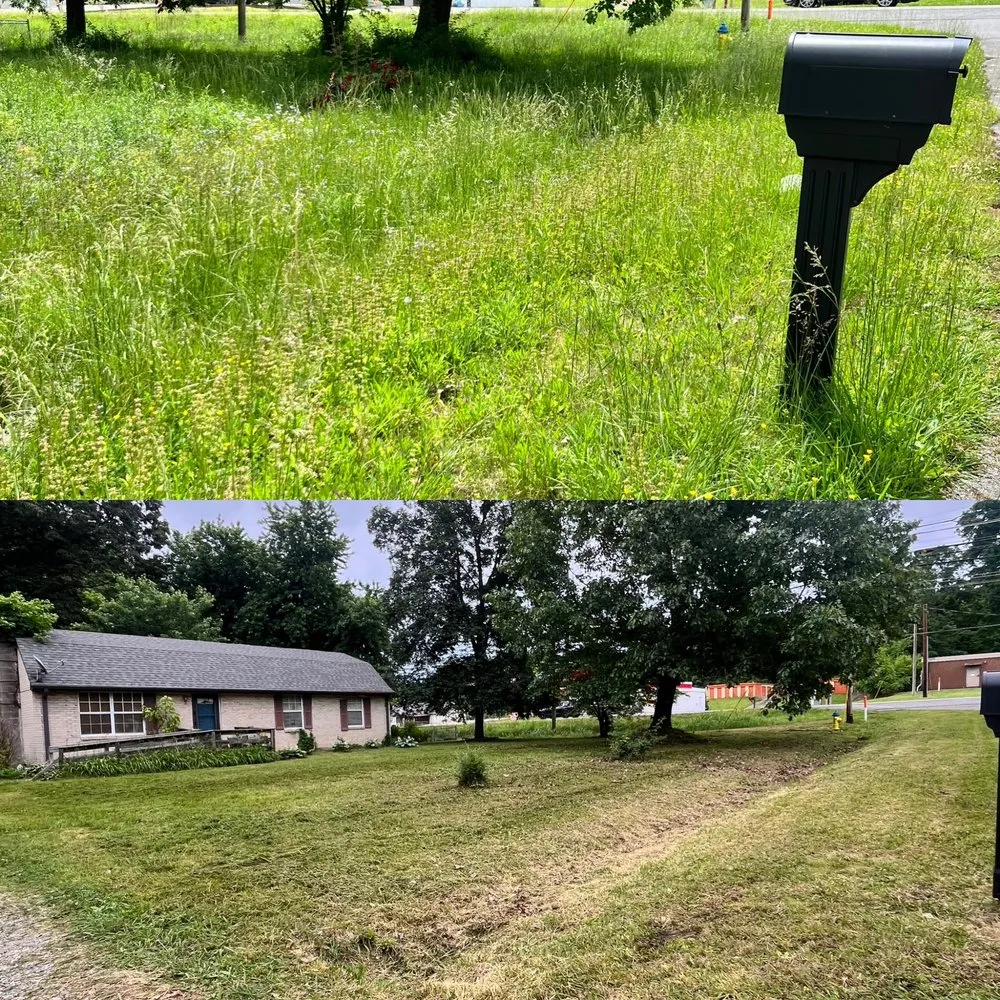 Affordable lawn care service experts serving Dickson, TN - Traditions Lawn Care