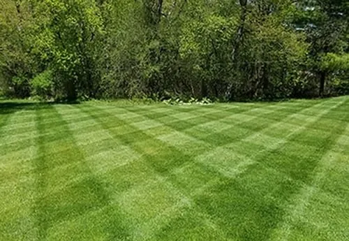 Reliable landscape design for beautiful yards in Dickson, TN by Traditions Lawn Care