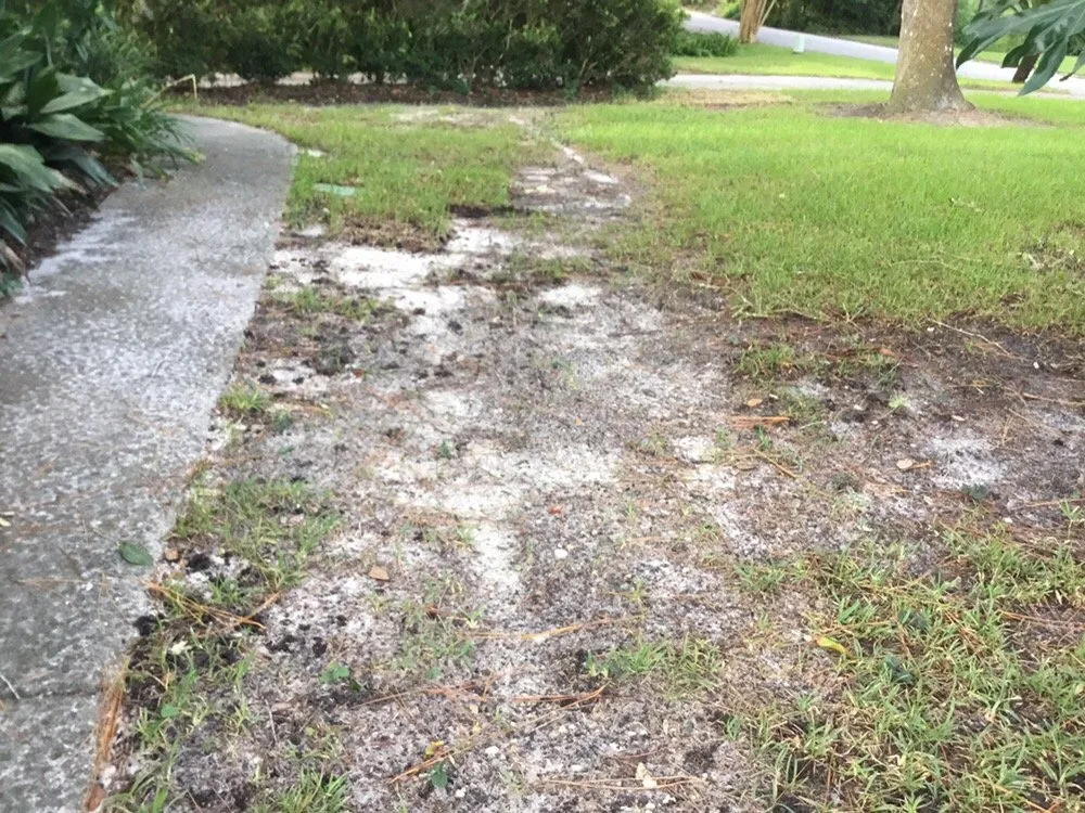 Trusted residential landscaping experts serving Jacksonville, FL - Trad's Pest Control