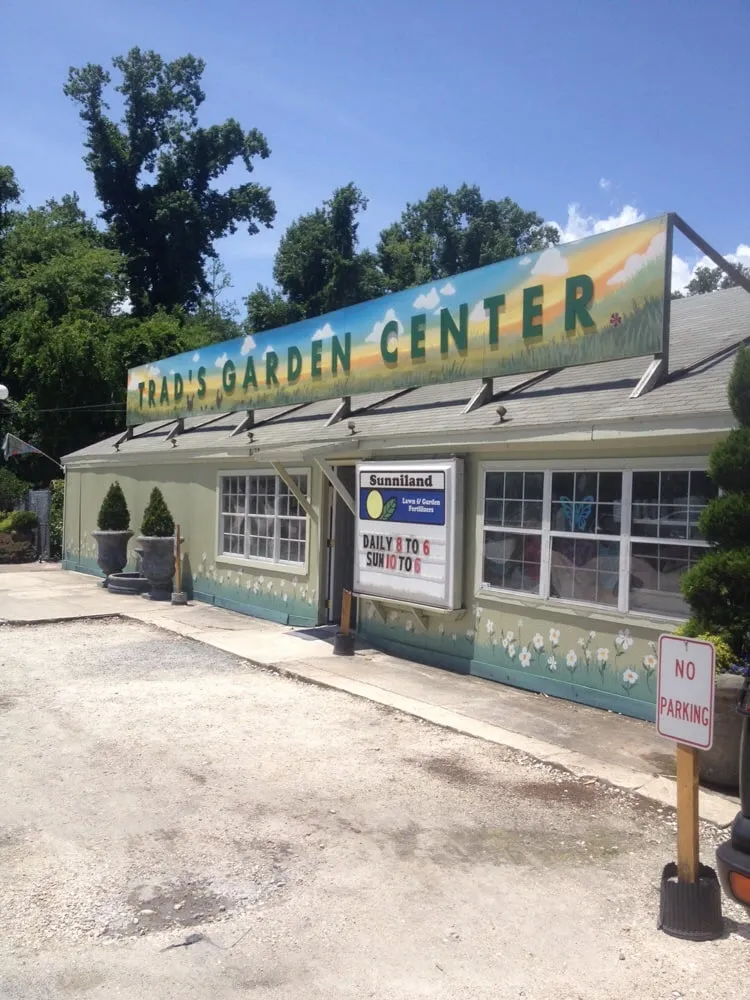 Top-rated yard cleanup service experts serving Jacksonville, FL - Trad's Pest Control