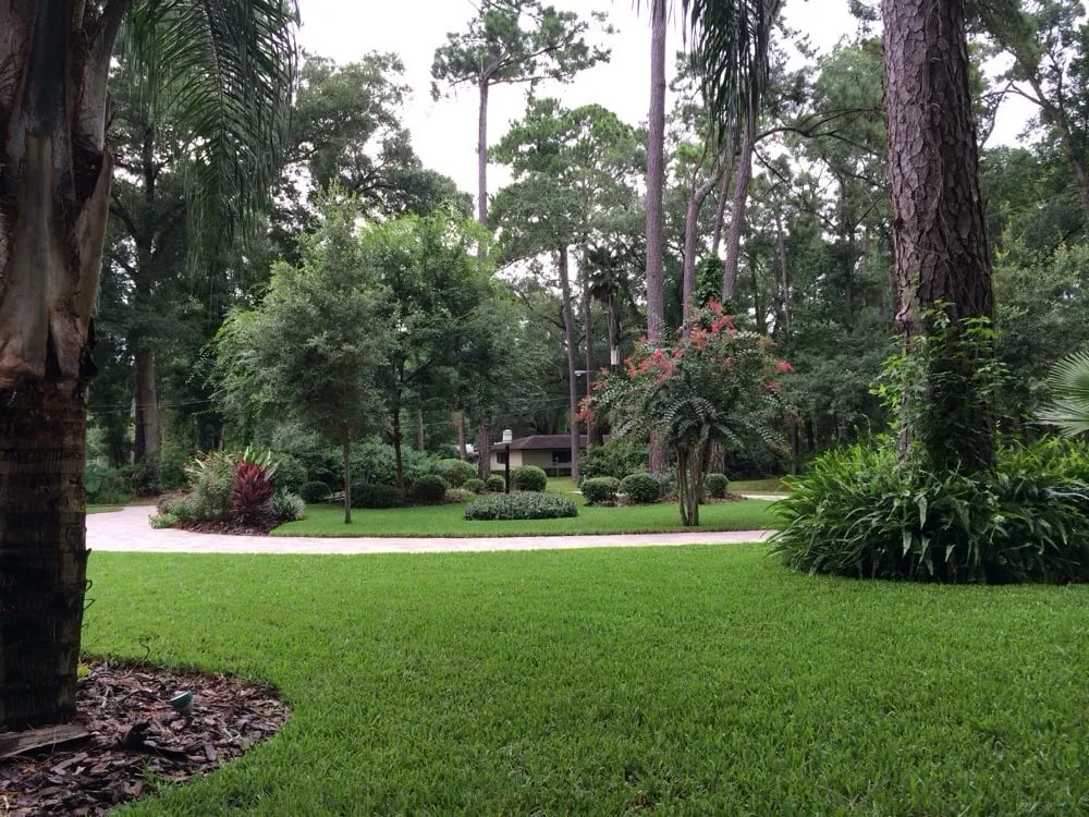 Expert yard maintenance experts serving Jacksonville, FL - Trad's Pest Control
