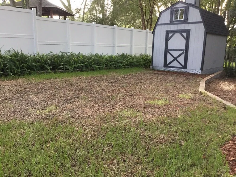 Local lawn care service near you across Jacksonville, FL - Trad's Pest Control