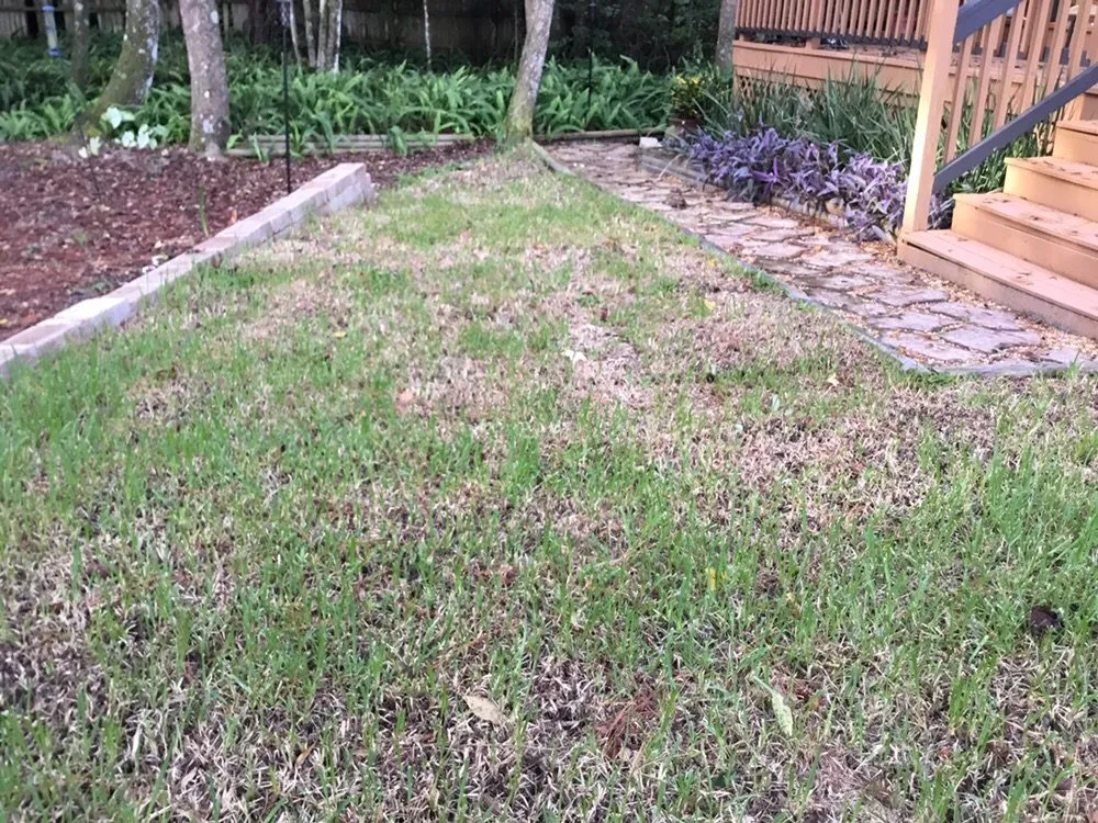 Top-rated garden landscaping in Jacksonville, FL - Trad's Pest Control