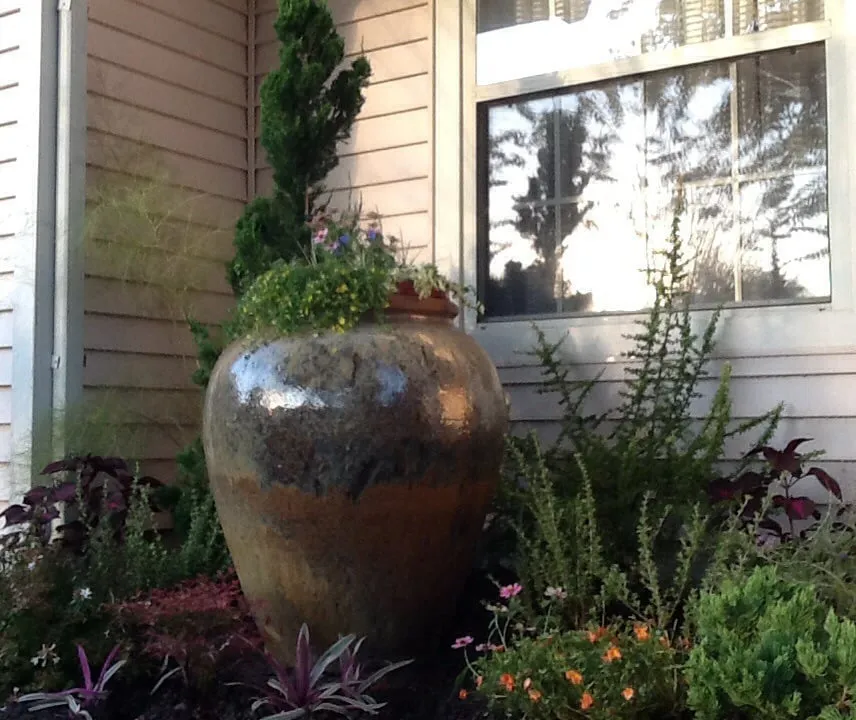 Top-rated yard cleanup service experts serving Jacksonville, FL - Trad's Pest Control