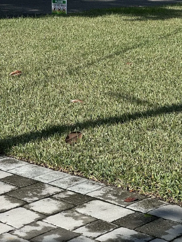 Custom outdoor landscaping near you in Jacksonville, FL by Trad's Pest Control