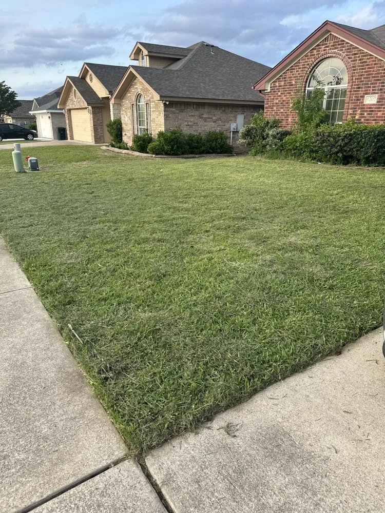 Reliable landscape installation for homes across Copperas Cove, TX - Traeger Lawn Service