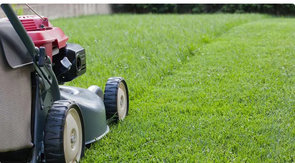 Affordable lawn mowing service for year-round maintenance across Copperas Cove, TX - Traeger Lawn Service