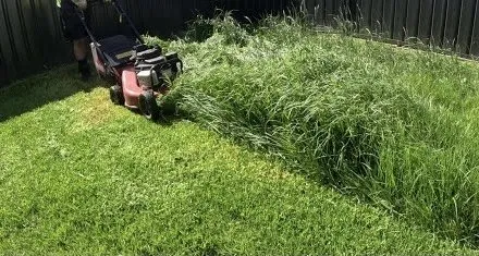 Reliable outdoor landscaping with custom design in Copperas Cove, TX by Traeger Lawn Service