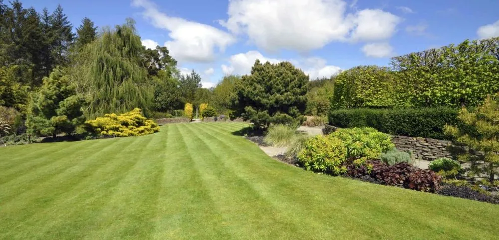 Custom yard cleanup service experts serving Hagerstown, MD - Trail Tree & Landscape Services