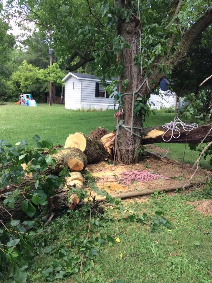 Affordable yard cleanup service for year-round maintenance across Hagerstown, MD - Trail Tree & Landscape Services