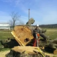 Top-rated landscape installation in Hagerstown, MD by Trail Tree & Landscape Services