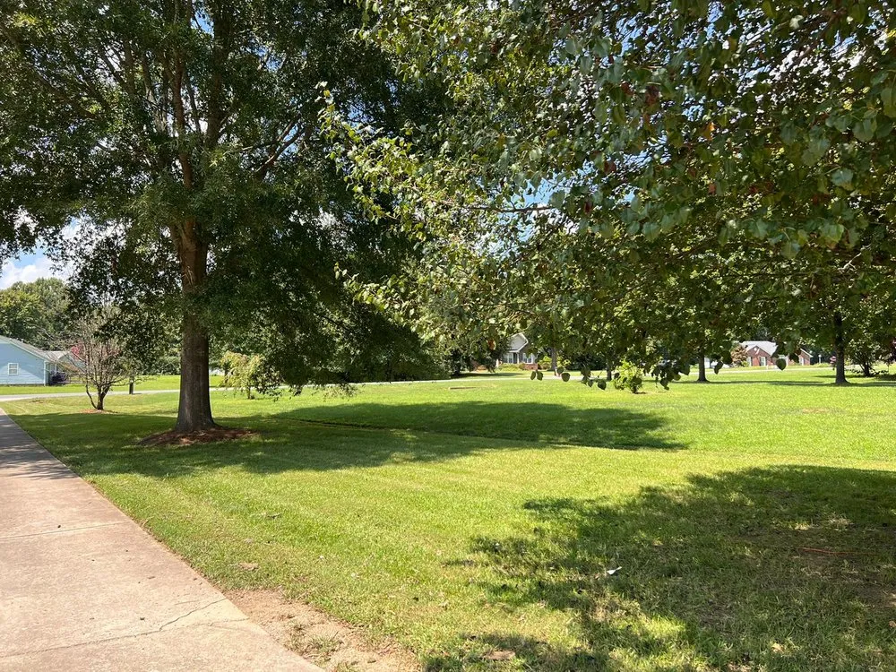 Expert outdoor landscaping in Indian Trail, NC by Trailblazer Landscaping