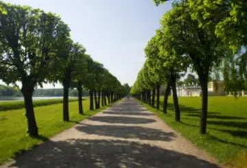 Custom lawn mowing service for homes in Flintstone, MD by Trails landscape services