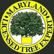 Affordable lawn care service for residential properties in Flintstone, MD by Trails landscape services