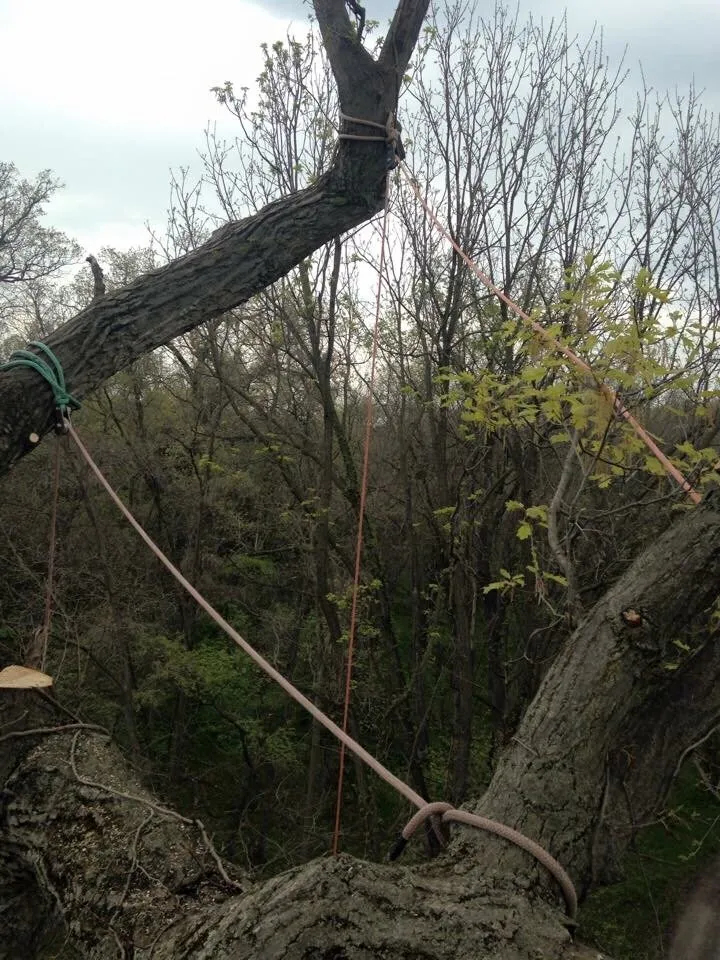 Trusted lawn mowing service experts serving Flintstone, MD - Trails landscape services
