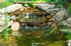 Reliable yard maintenance for beautiful yards across Avon, CT - Trailsend Water Garden, LLC