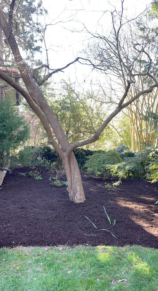 Affordable lawn care service for homes in Manakin-Sabot, VA by Train of Manakin Landscaping