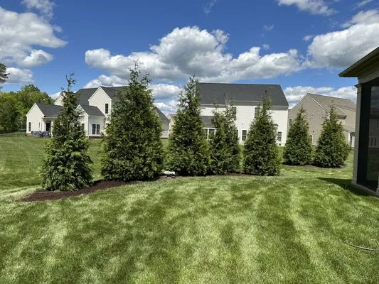 Train of Manakin Landscaping
