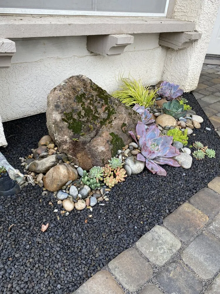 Professional landscape design in Tracy, CA by Traina Thought Landscapes