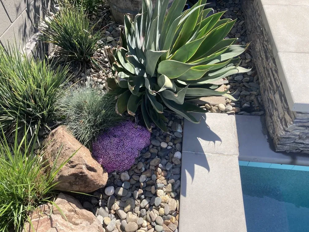 Affordable landscaping services for outdoor upgrades in Tracy, CA by Traina Thought Landscapes