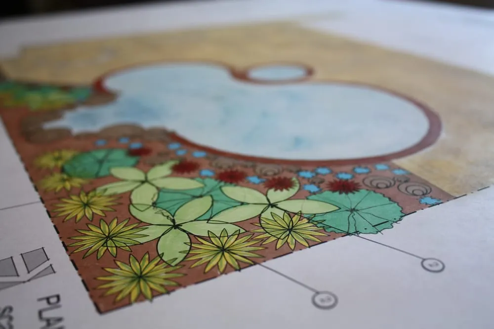 Custom landscape design in Tracy, CA - Traina Thought Landscapes