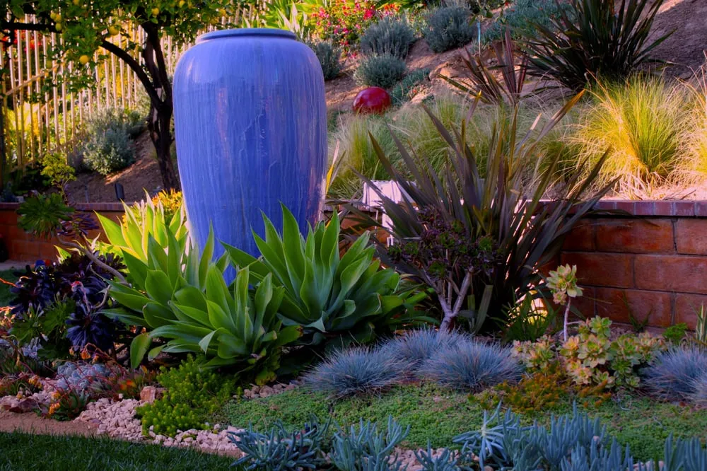 Affordable yard maintenance in Tracy, CA by Traina Thought Landscapes