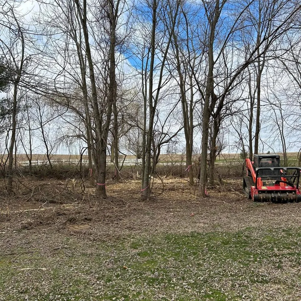 Professional landscape design in Trenton, IL by Trame Forestry and Land Clearing