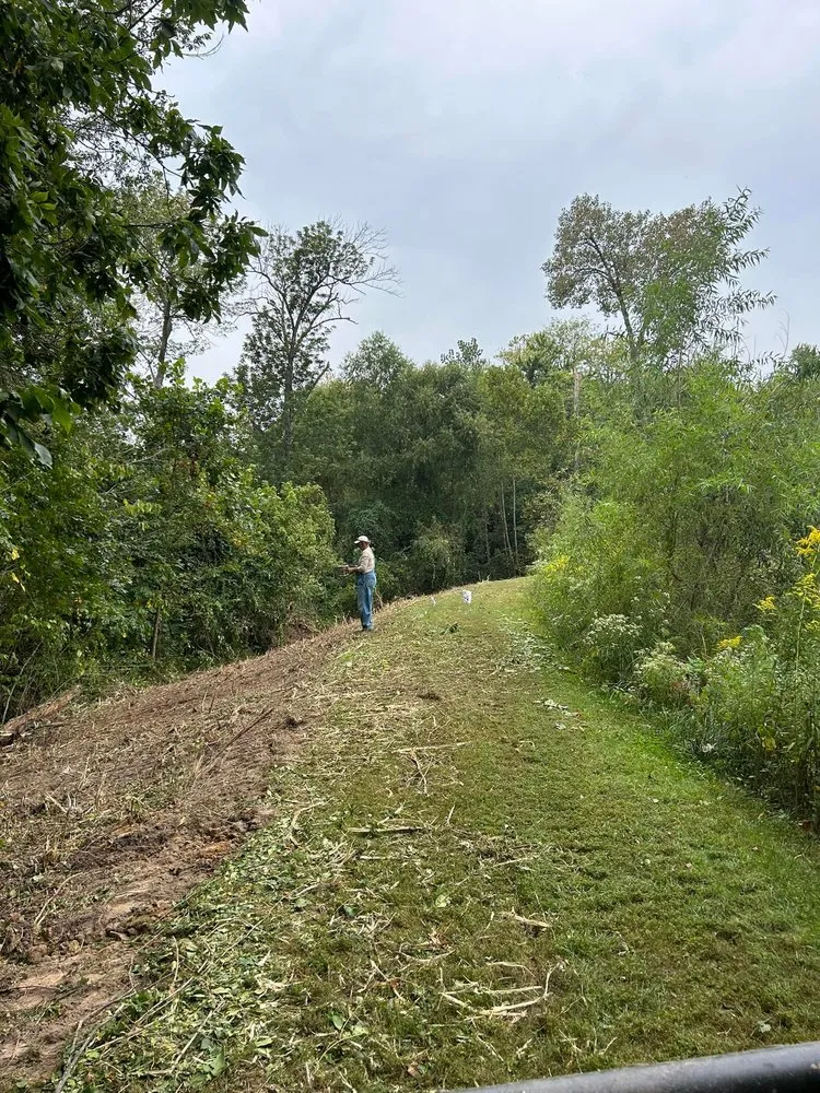 Trusted residential landscaping in Trenton, IL - Trame Forestry and Land Clearing