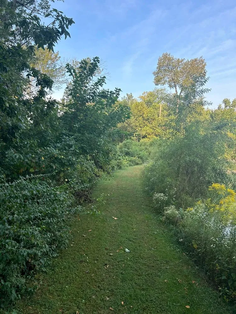 Professional landscape design in Trenton, IL by Trame Forestry and Land Clearing