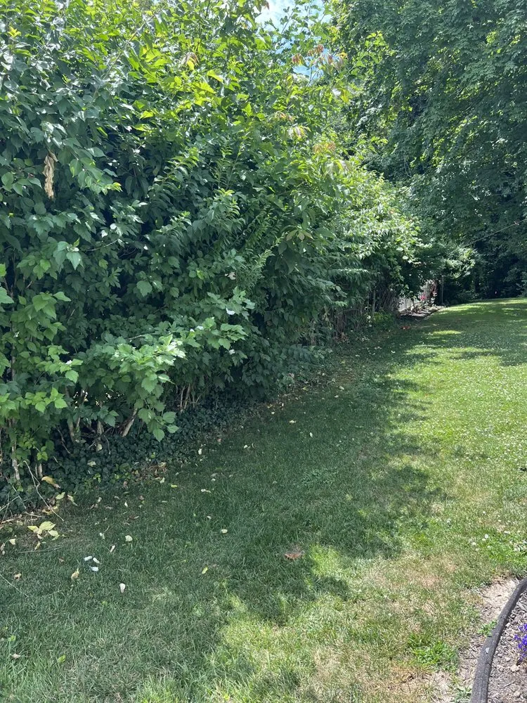 Expert outdoor landscaping in Trenton, IL - Trame Forestry and Land Clearing